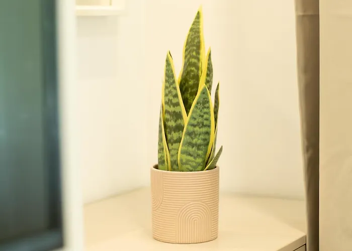 Ideal Stay: Spacious 2br Near Calea Victoriei Апартаменти *